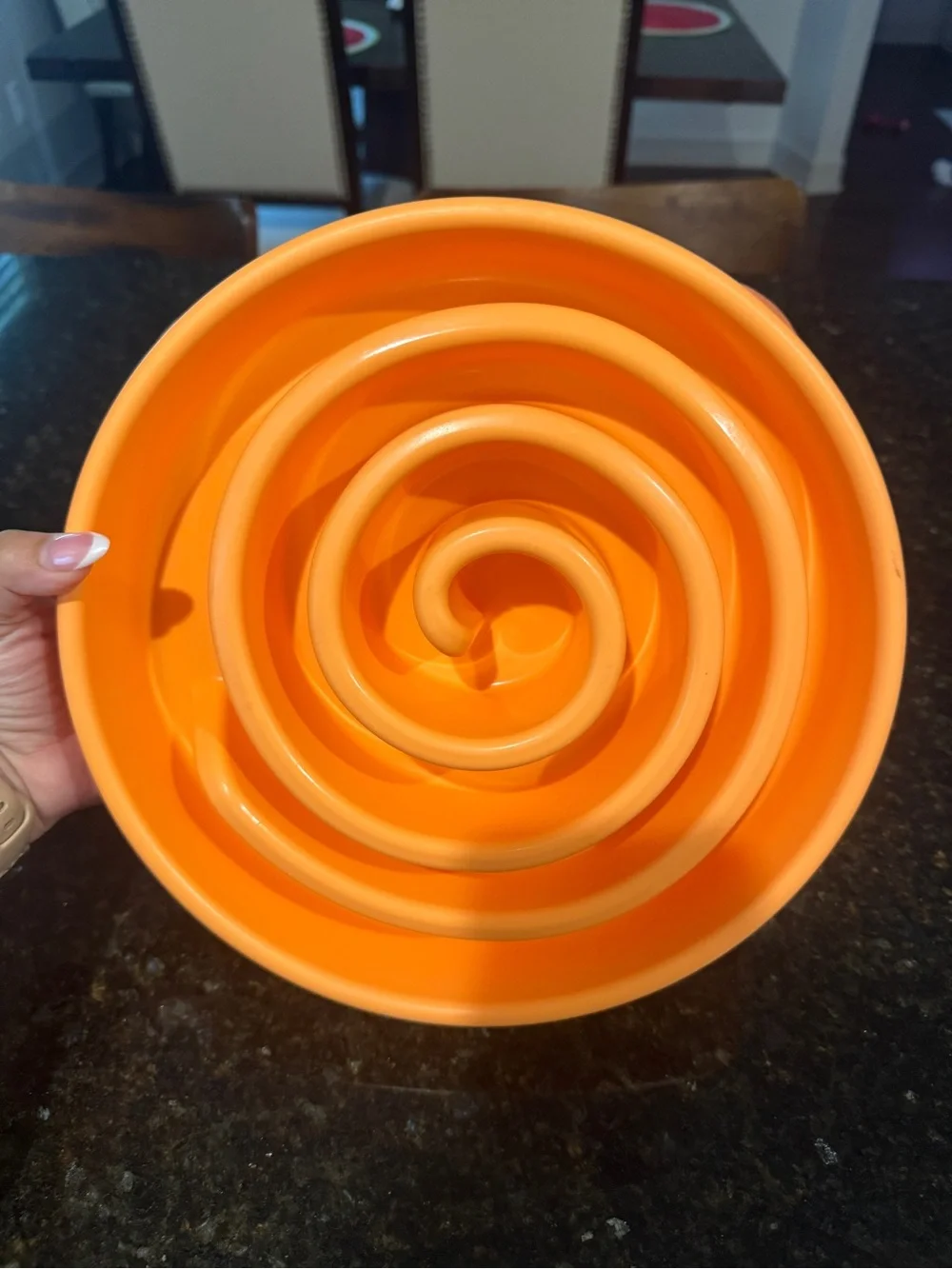 Outward Hound Slow Feeder Dog Bowl